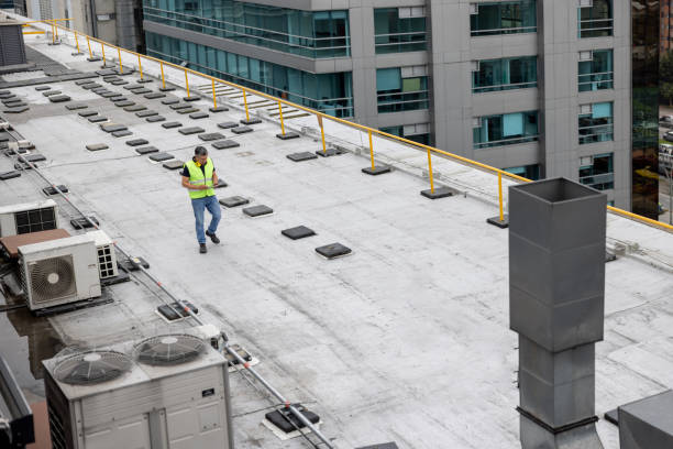 Best Roof Ventilation Installation  in Pumpkin Center, NC